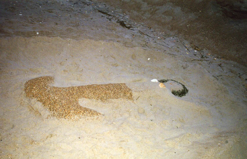 Image2