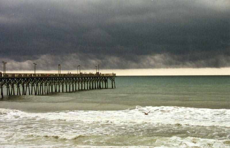 Image3