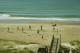 beach 005
