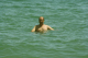 beach 008