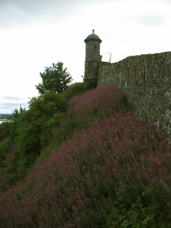 img_2457_r1