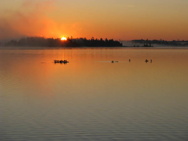 IMG_1589