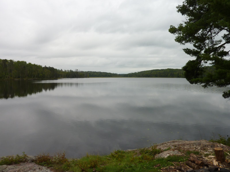 P1000446