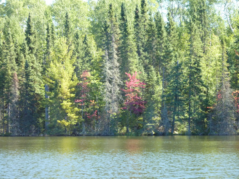 P1000472